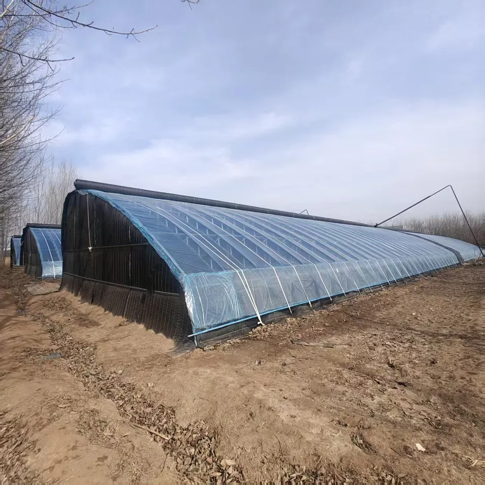 Corrosion-Resistant Customization Energy-Saving Tunnel Greenhouse with High Light Transmission