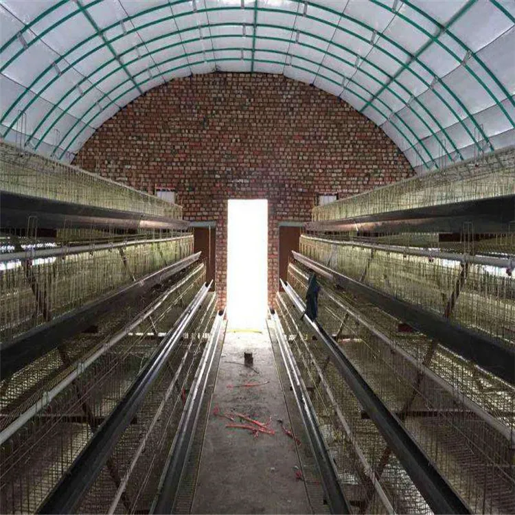 Corrosion-Resistant Customization Energy-Saving Tunnel Greenhouse with High Light Transmission