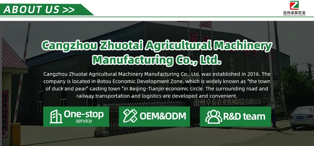 Corrosion-Resistant Customization Energy-Saving Tunnel Greenhouse with High Light Transmission