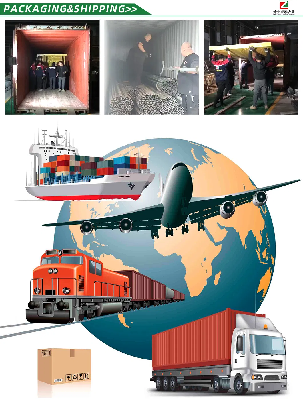 Corrosion-Resistant Customization Energy-Saving Tunnel Greenhouse with High Light Transmission