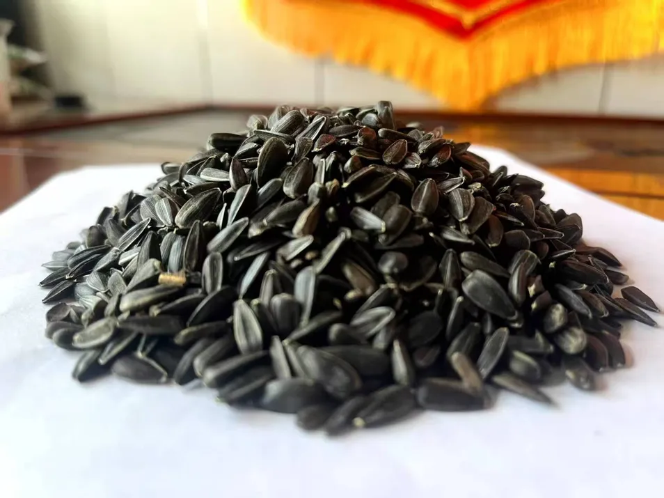 Hot Sale Natural Without Hormone Horse Feed for Racehorse Horse Feed