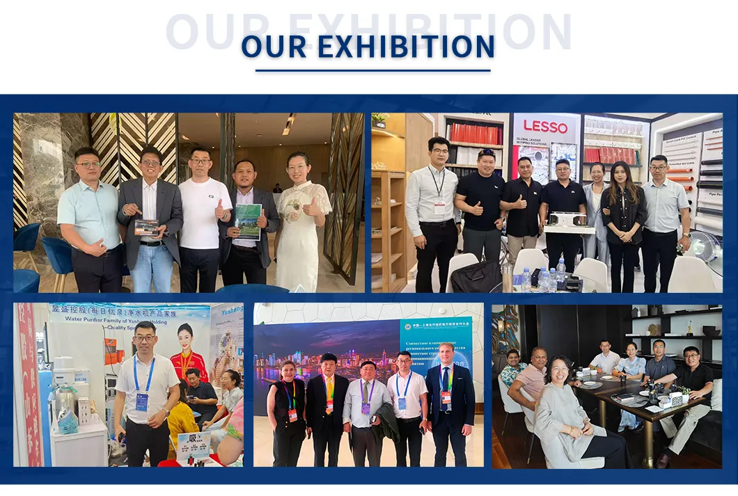 Hot Sale Natural Without Hormone Horse Feed for Racehorse Horse Feed