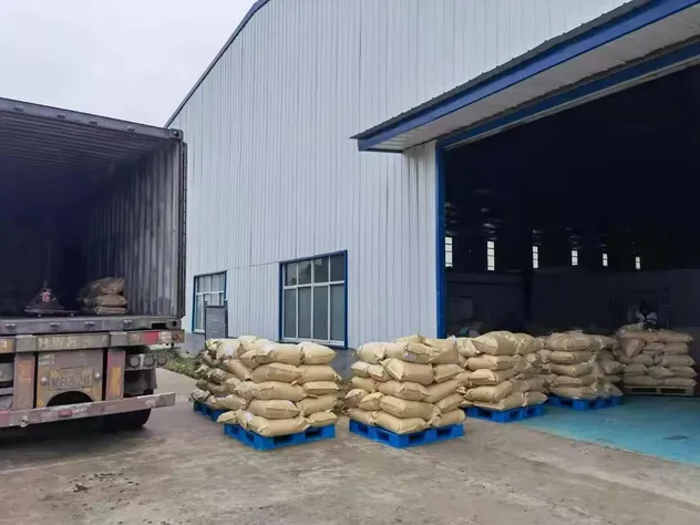 . Authentic 30g Curry Powder Blend for Flavorful Dishes Halal Mixed Spices