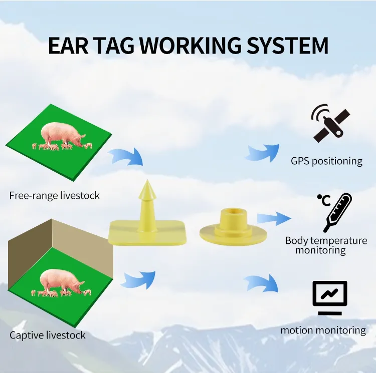 UHF Eartag Square-Head Non-Metal 860-960MHz ISO18000-6c Pig-Sheep