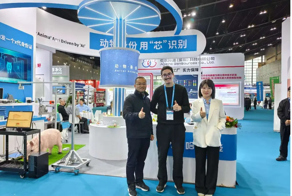 UHF Eartag Square-Head Non-Metal 860-960MHz ISO18000-6c Pig-Sheep