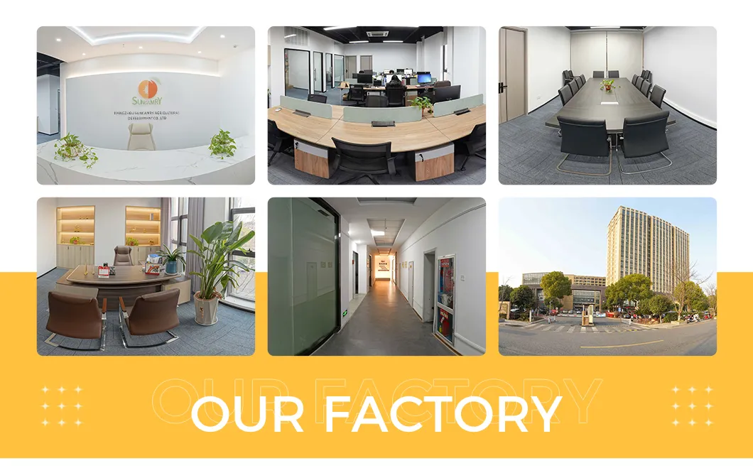 Peeled and Unpeeled Almond Paste