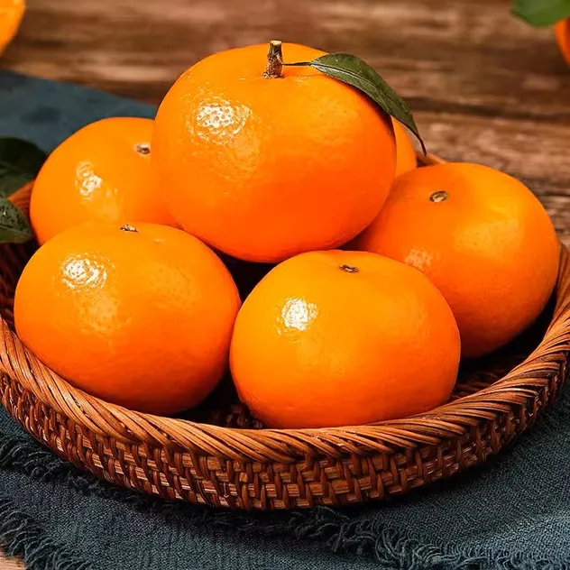 Fresh in Season High-Quality Fresh Mandarin Oranges
