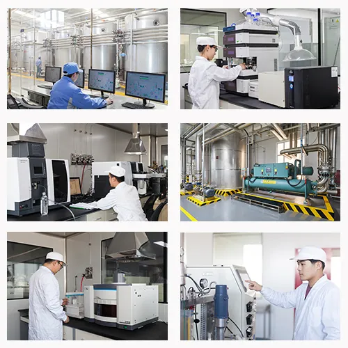 Soluble Tapioca Corn Fiber Resistant Dextrin Protein Bars Ingredients