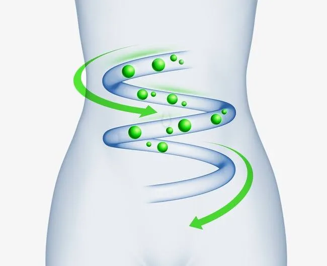 Soluble Tapioca Corn Fiber Resistant Dextrin Protein Bars Ingredients
