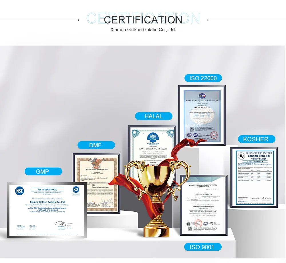 Gelatin Halal Approved Edible Fish Gelatin for Dairy Desserts Bakery Candy with High Transparency, Odorless & Halal Industry Certification