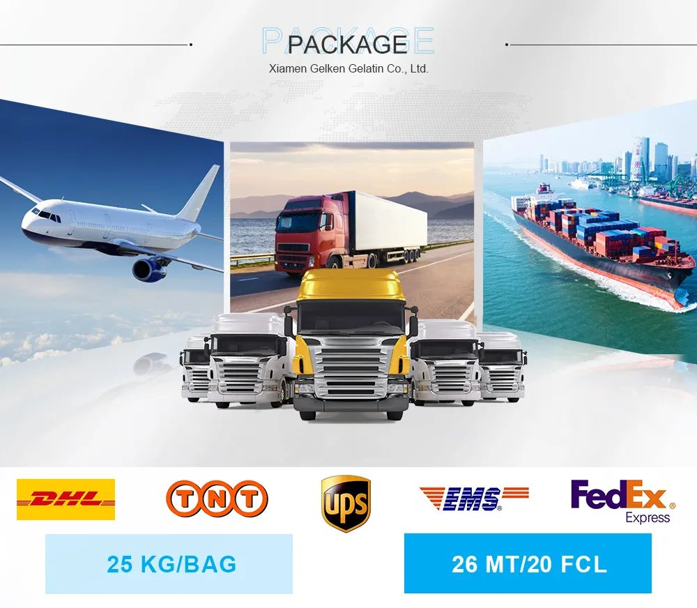 Gelatin Halal Approved Edible Fish Gelatin for Dairy Desserts Bakery Candy with High Transparency, Odorless & Halal Industry Certification