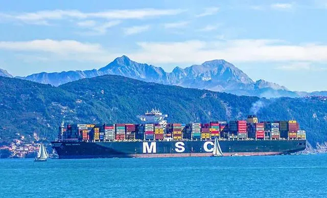 Residual Substances From Shiitake Mushroom Extraction & for Feed & for Fertilizer & Rich Organic Matter & Mushroom Residue