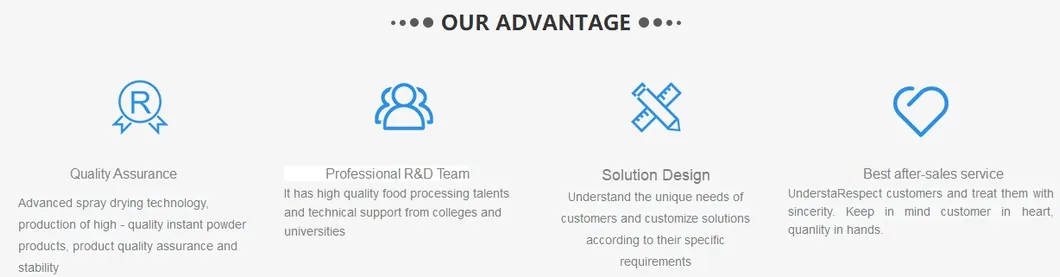 High Quality Ice Cream Premix Powder Supplier