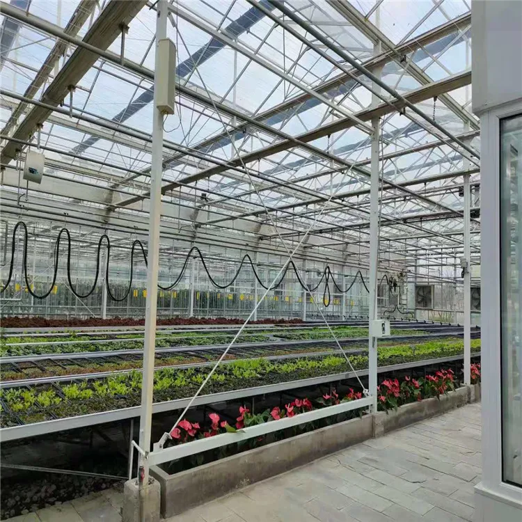 Sturdy Advanced Corrosion-Resistant Venlo Greenhouse with Enhanced Structural Integrity