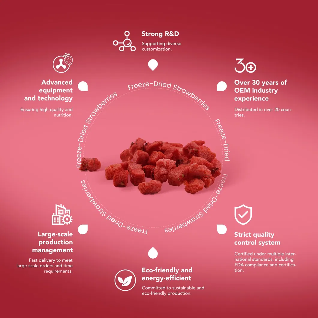 Strawberry Slices Health Food Freeze-Dried Strawberry