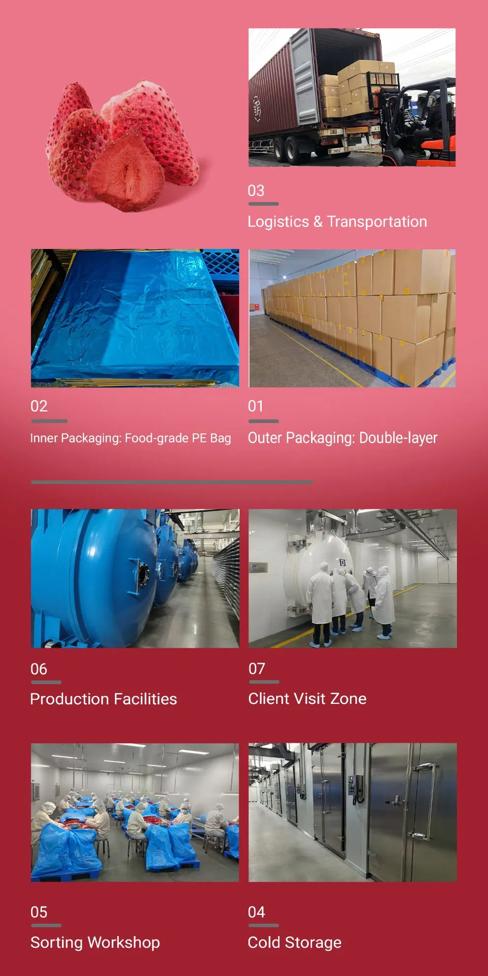 Strawberry Slices Health Food Freeze-Dried Strawberry