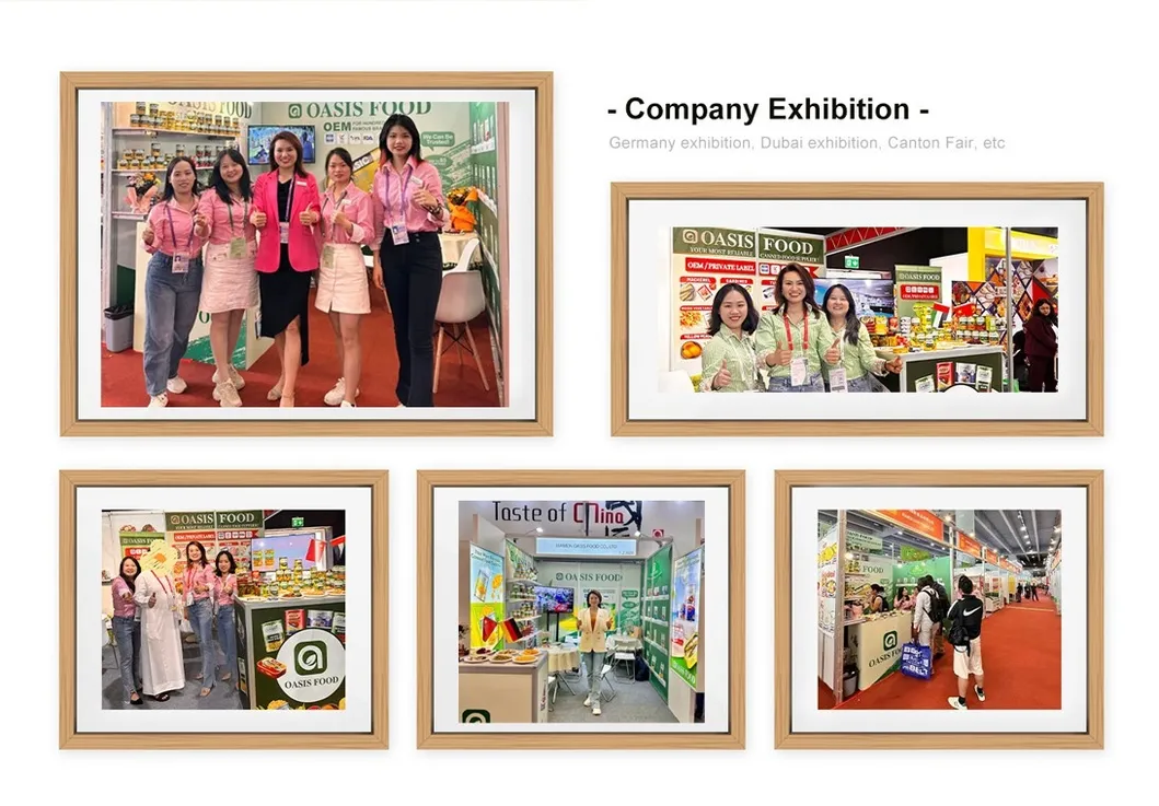 Wholesale Types of Tinned Tuna Shredded Canned Tuna Fish in Brine 140g