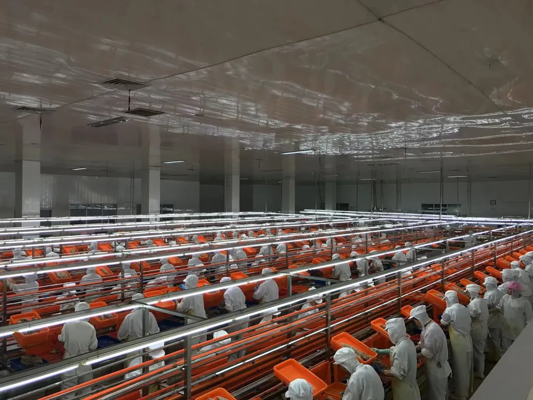 Wholesale Types of Tinned Tuna Shredded Canned Tuna Fish in Brine 140g