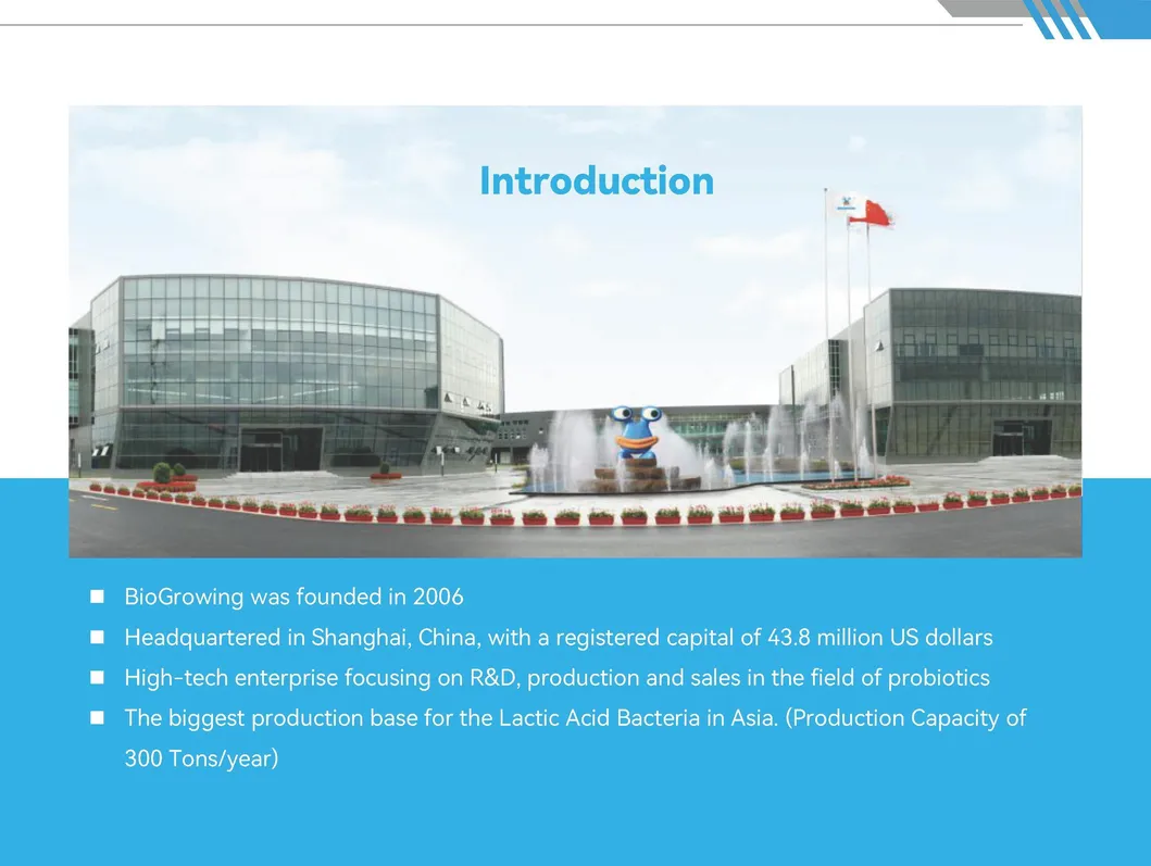 Hot Sale Factory 200 Billion Cfu/G Health Care Supplement Lactobacillus Acidophilus Probiotics