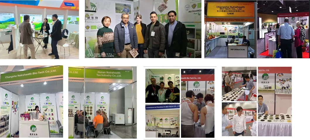 High Quality Wild Black Tea, Unique Wild Old Tree Black Tea