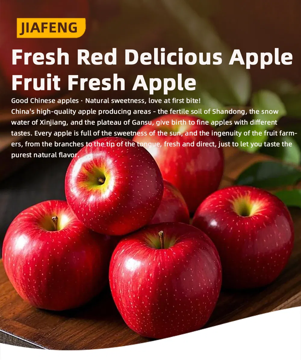 High-Quality Apples Made in China, Direct Supply/Fresh Apple