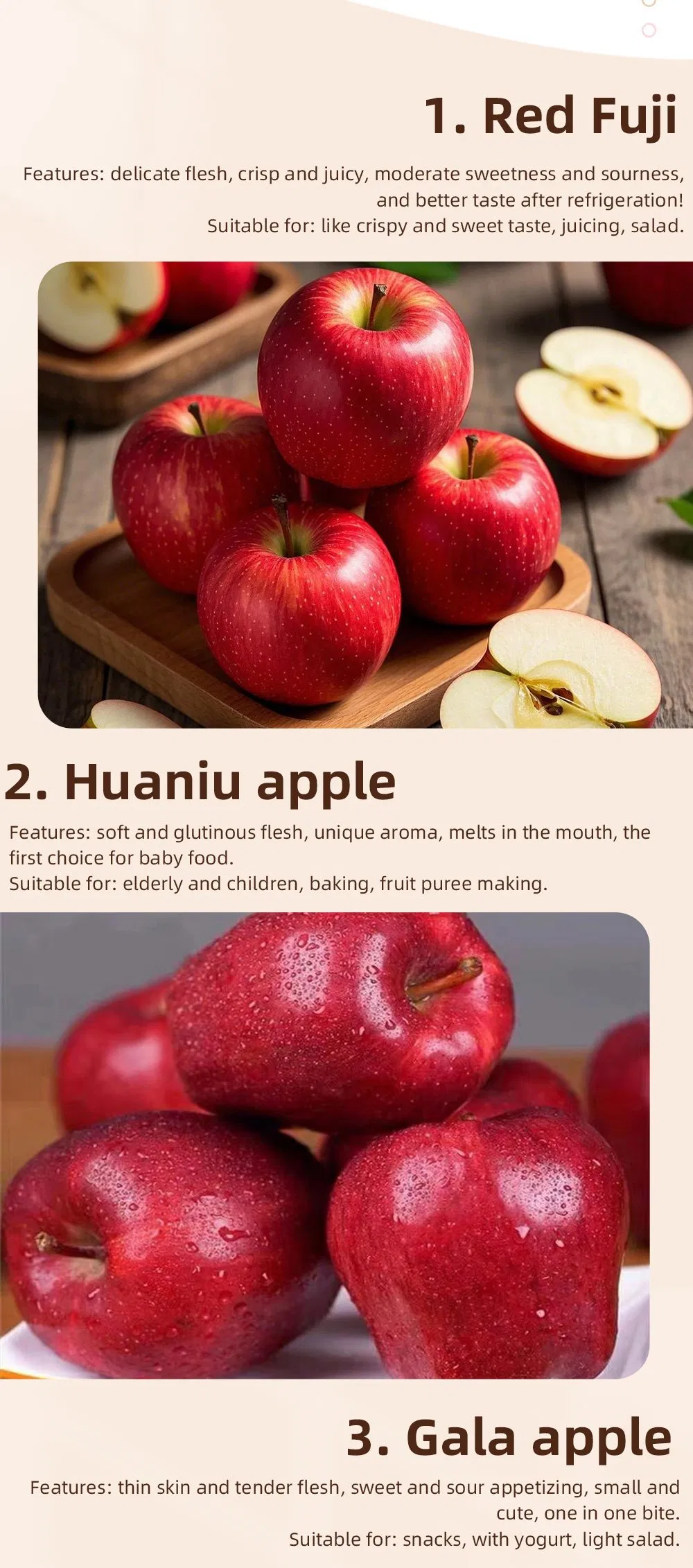 High-Quality Apples Made in China, Direct Supply/Fresh Apple