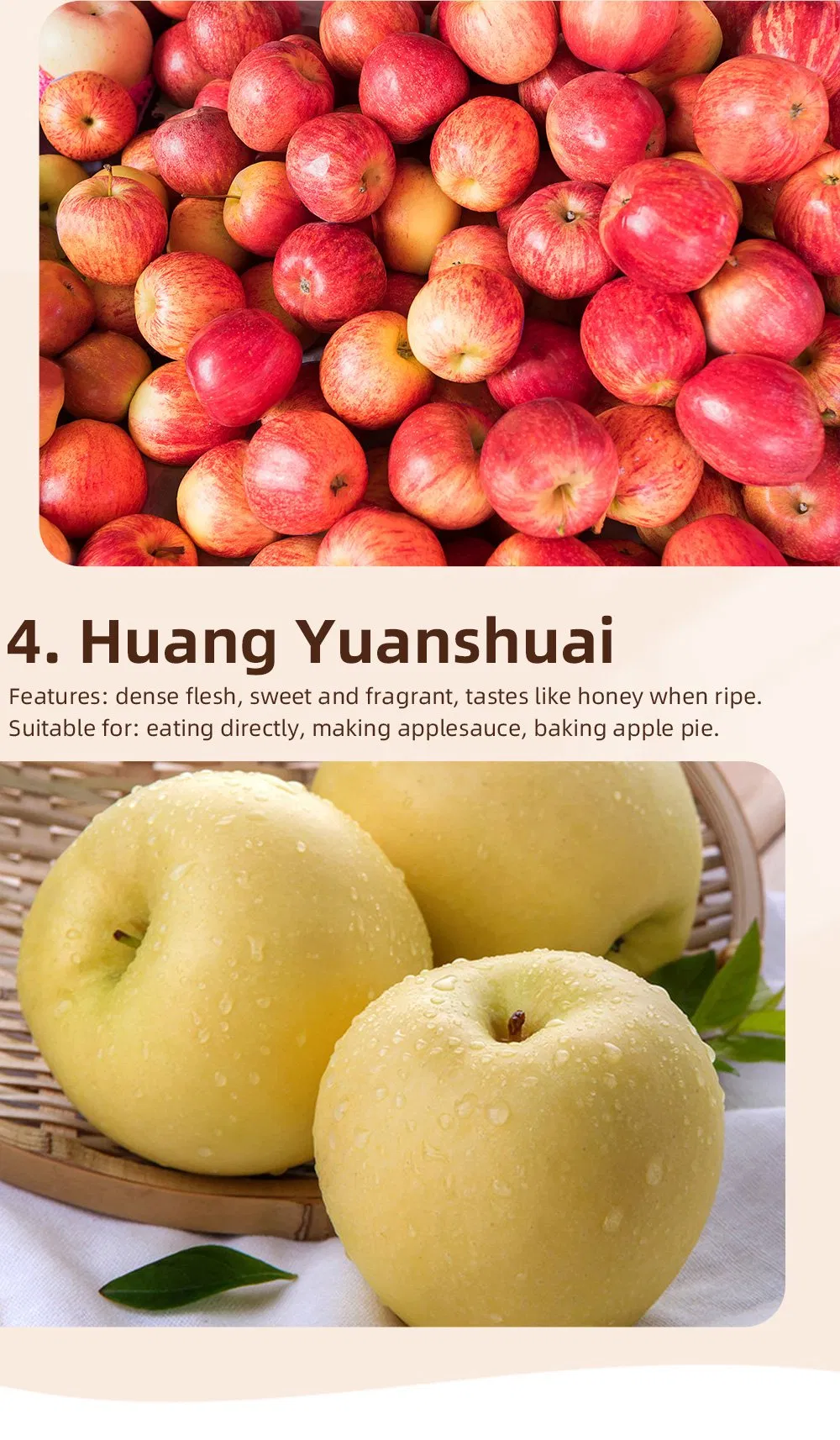 High-Quality Apples Made in China, Direct Supply/Fresh Apple