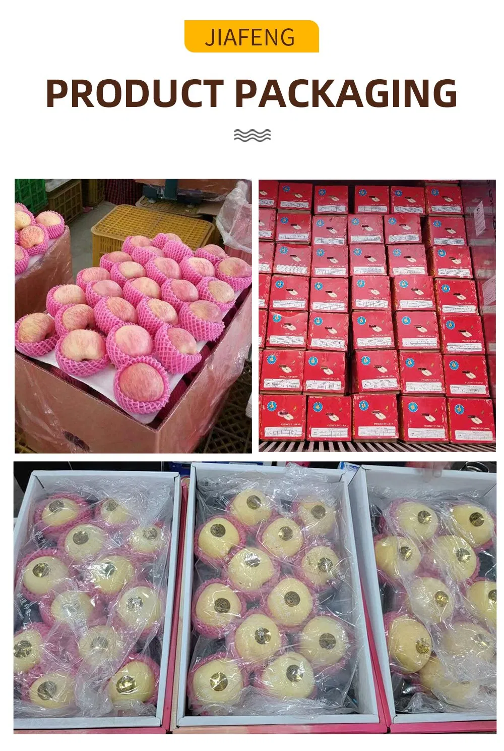 High-Quality Apples Made in China, Direct Supply/Fresh Apple