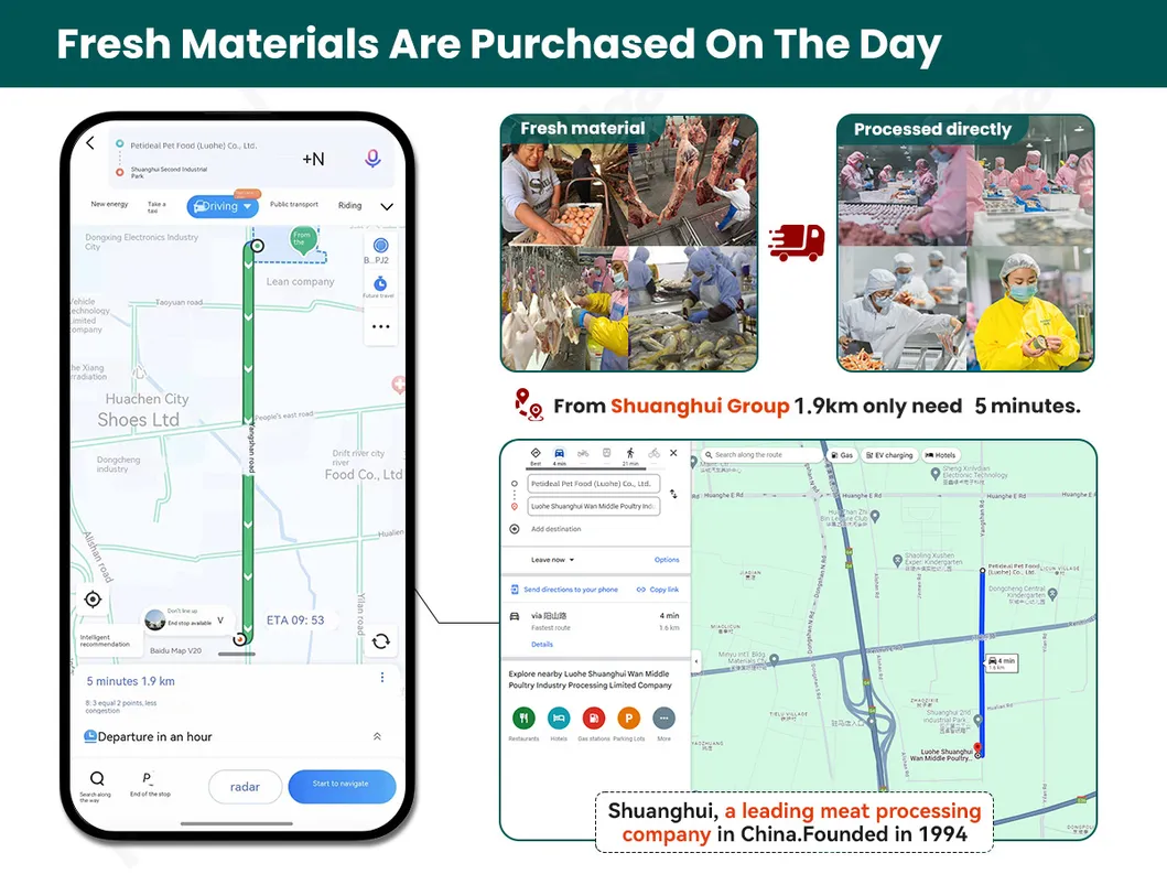 Private Label Dried Chicken Chips Dry Dog Treats Dog Snacks Manufacturer