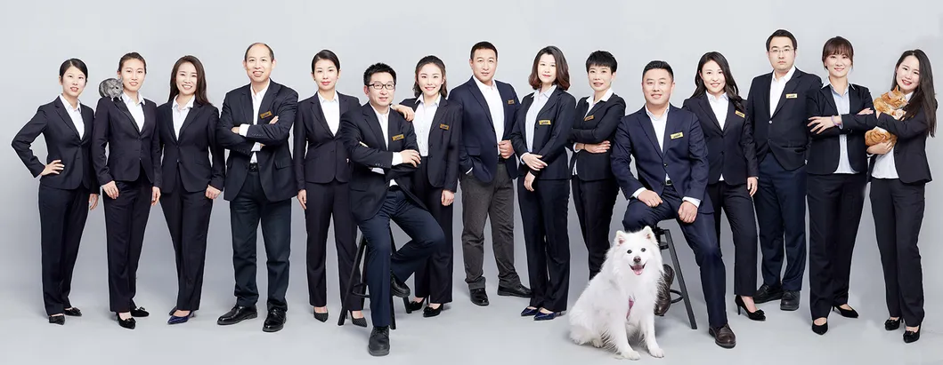 Private Label Dried Chicken Chips Dry Dog Treats Dog Snacks Manufacturer