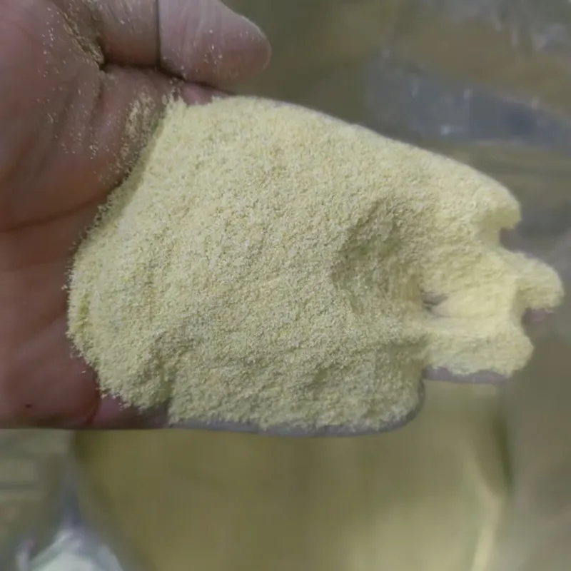 Professional Supply China Garlic Granules 40-80 Mesh