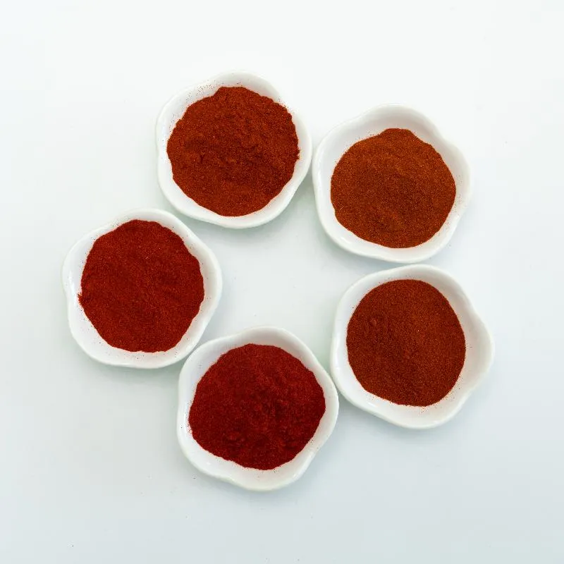 2024 New Season Paprika Powder BRC/Halal Paprika Red Spices