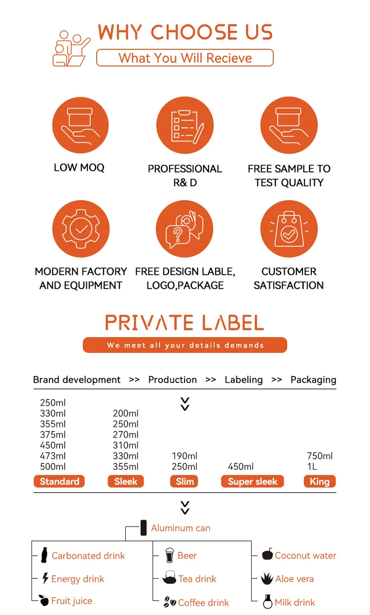 OEM ODM Canned Fruit Flavor Carbonated Drink/ Soda /Sparkling Water Custom Flavors High Quality Fruit Juice Private Label Juice Low Sugar Natural Fruit
