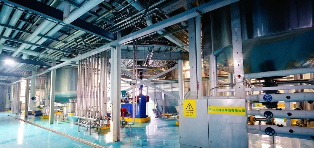 Authentic German Hefeweizen for Connoisseurs with ISO9001: 2015, HACCP, 5.1%Vol, 13 Plato Degrees Beer