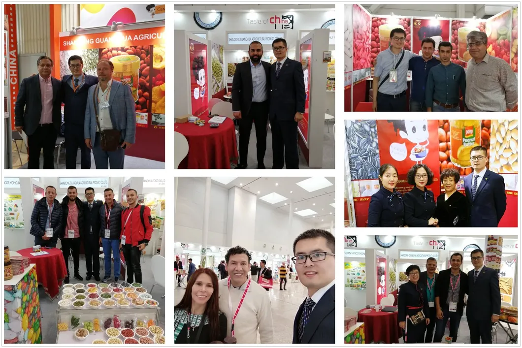 Dried Red Plum 3D Shape Sour and Sweet Combination Snack