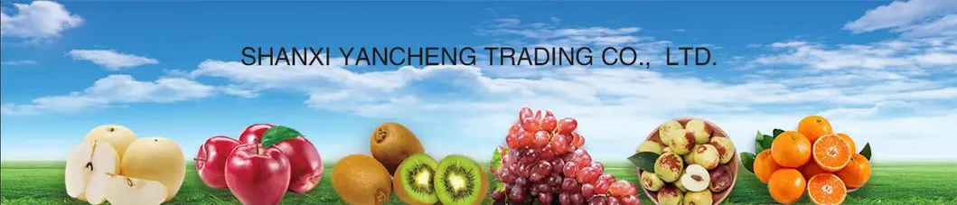 Juicy Shine Muscat Grape - Grade 1 Organic Sweetness Flavor