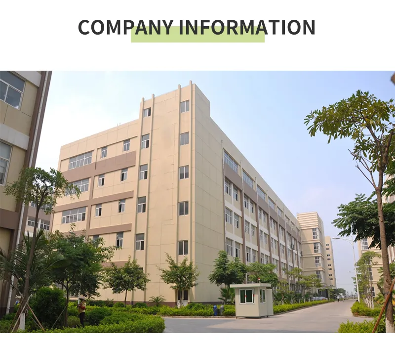 Juicy Shine Muscat Grape - Grade 1 Organic Sweetness Flavor