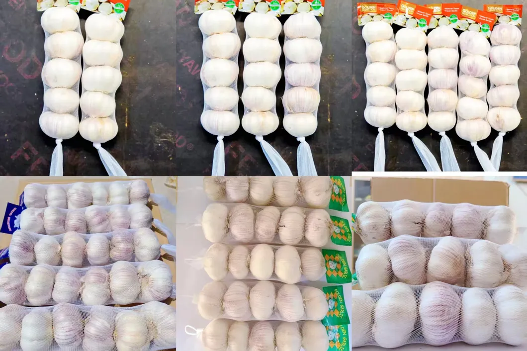 China Fresh Garlic Export