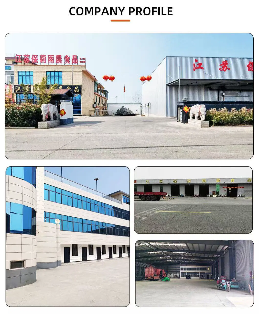 China Fresh Garlic Export