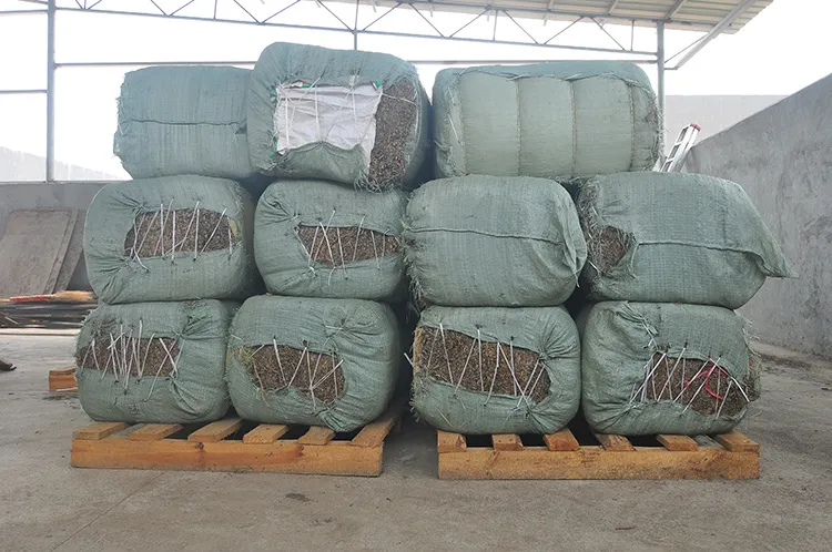 Natural Essential Oil Flavor and Fragrance Supplied Eucalyptus Globulus Oil