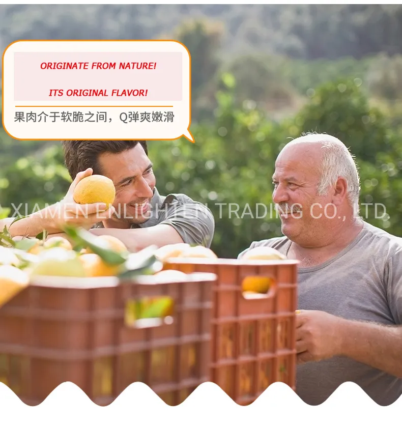 Well Packed Fruits Cocktail in Glass Jar