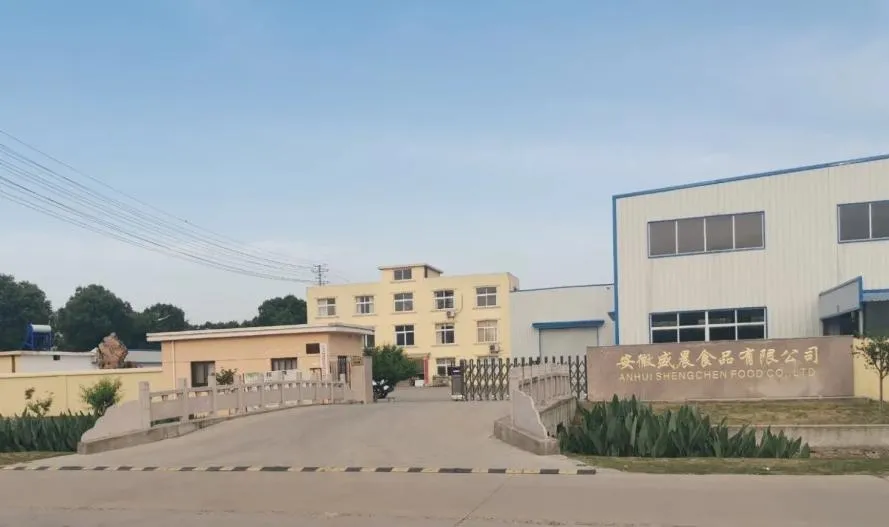 Instant Ginger Drink with Moringa Ice or Warm Served Both Ok