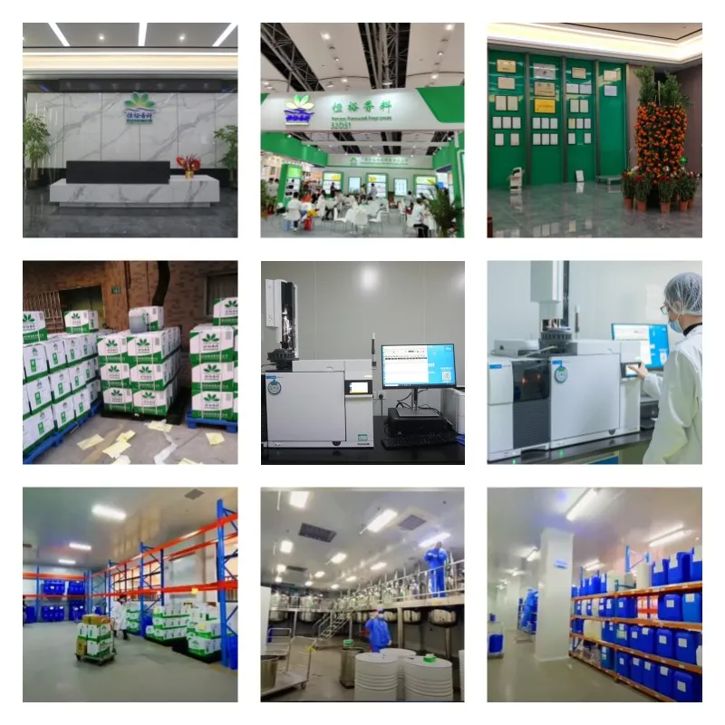 Hengyu High Quality & Best Price Vanilla Powder Flavour Peach Flavor Food Flavoring