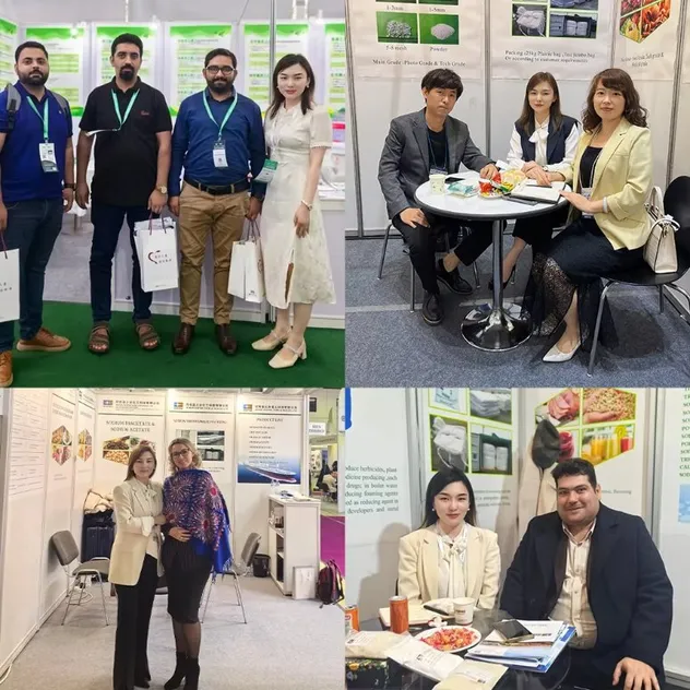 High Purity Factory Price 98% 97% 96% 93% Anhydrous Sodium Sulfite