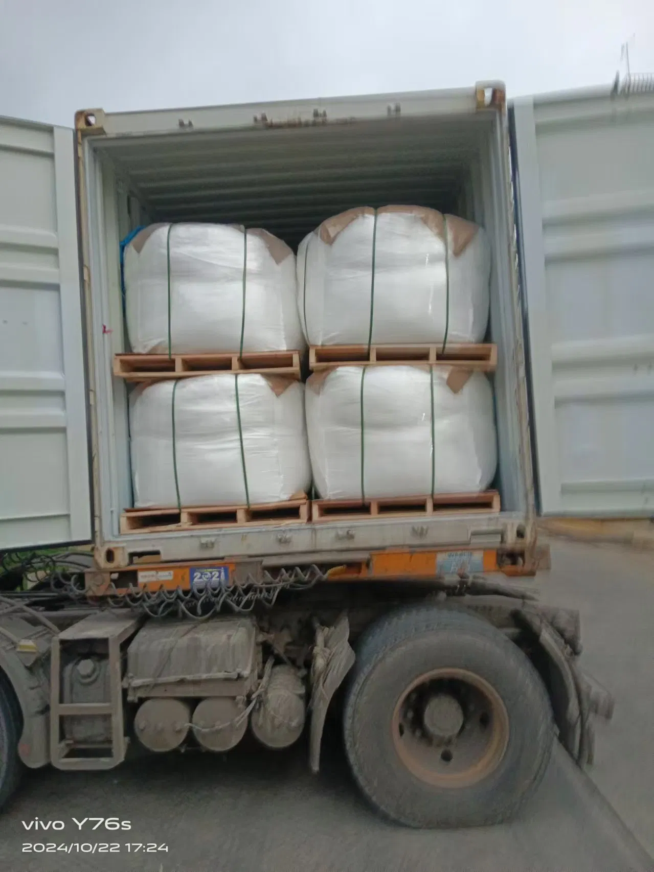 Uncoated Calcium Butyrate 98% Rapid Absorption for Animal Growth Promotion