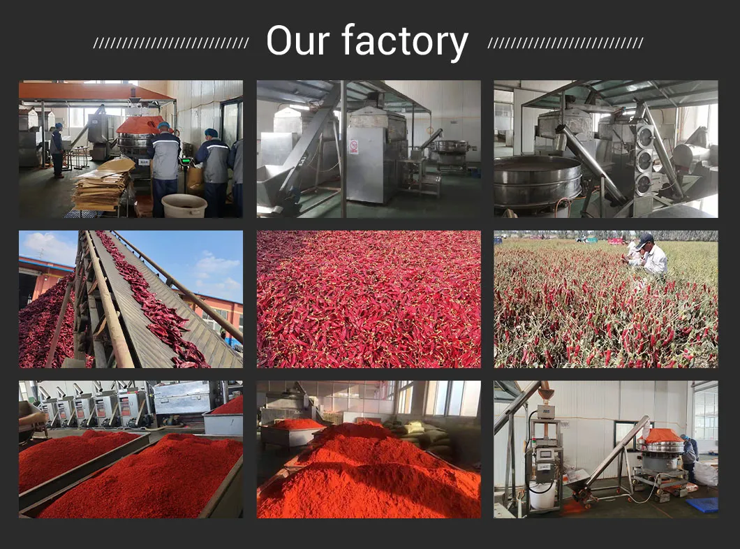 Paprika Made in China Wholesale Red Chilli Pepper Powder Milling Hot Spice