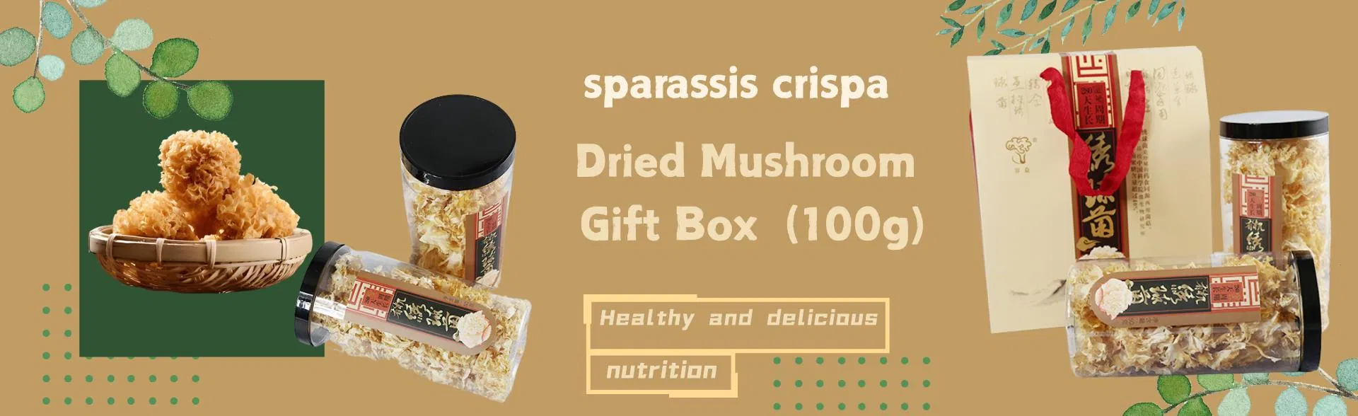 Premium Sparassis Crispa Dried Mushroom Gift Box - Nutritious and Healthy Dried Mushrooms