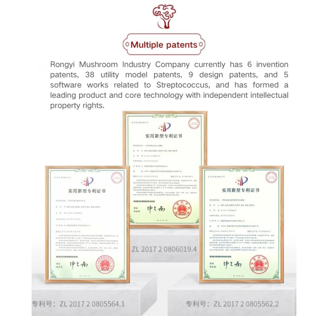 Premium Sparassis Crispa Dried Mushroom Gift Box - Nutritious and Healthy Dried Mushrooms