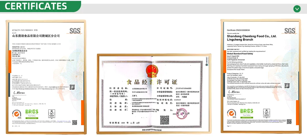 Premium Kosher-Certified Freeze Dried Apples for Wholesale Distribution