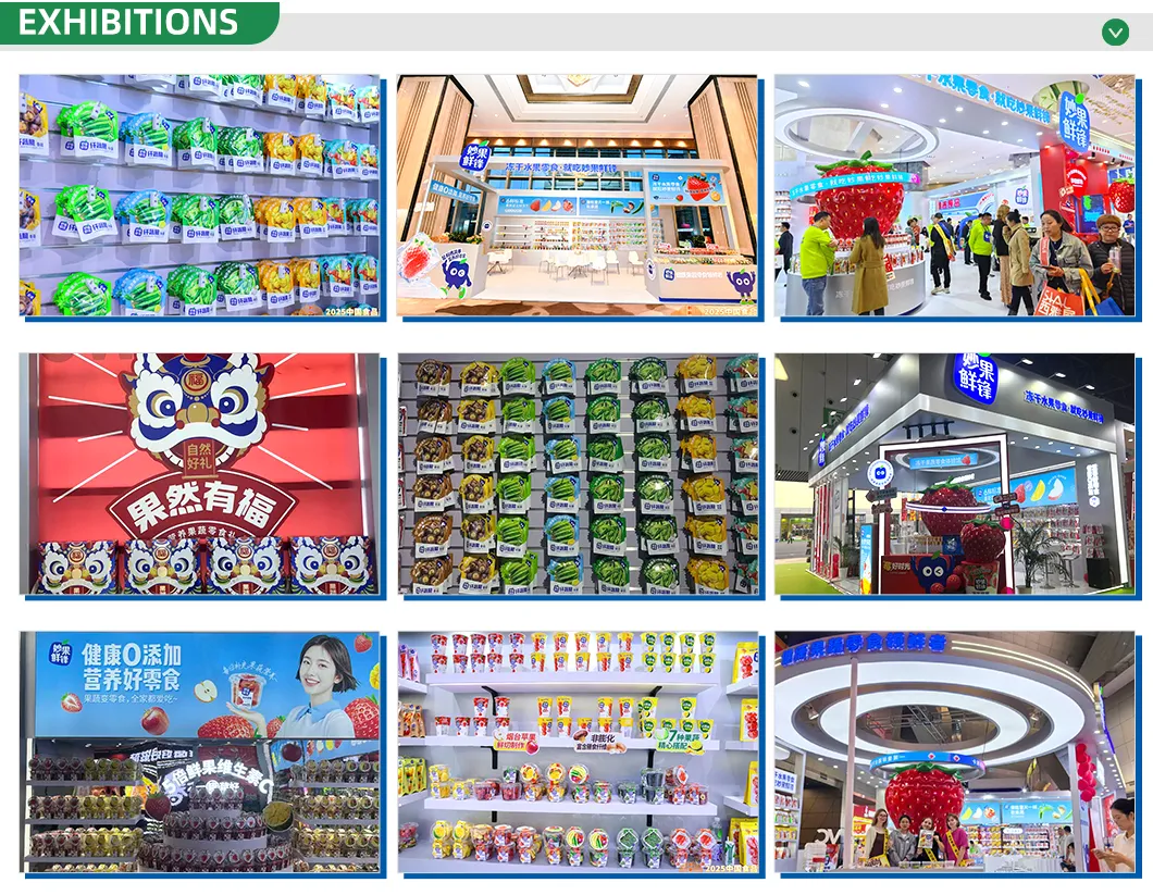 Premium Kosher-Certified Freeze Dried Apples for Wholesale Distribution